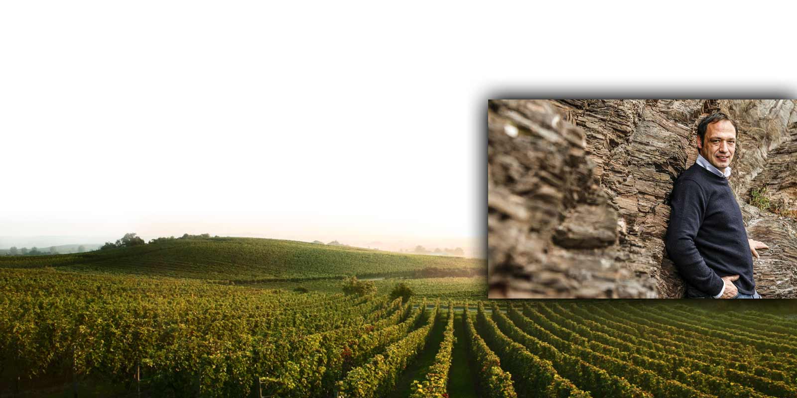 Saraplar Almanya - Mosel - Markus Molitor Markus Molitor, 1984 yilinda henuz 20 yasindayken babasinin 3 hektarlik sarap imalathanesinin yonetimini devraldi. Gencligine ragmen vizyonu cok net ve iddialiydi: Moselle`nin bireysel, mekana ozgu, farkli ve son derece saklanabilir Riesling`lerle eski ihtisamina donmesine yardimci olmak. Saraplar Almanya - Mosel - Markus Molitor Markus Molitor, 1984 yilinda henuz 20 yasindayken babasinin 3 hektarlik sarap imalathanesinin yonetimini devraldi. Gencligine ragmen vizyonu cok net ve iddialiydi: Moselle`nin bireysel, mekana ozgu, farkli ve son derece saklanabilir Riesling`lerle eski ihtisamina donmesine yardimci olmak.