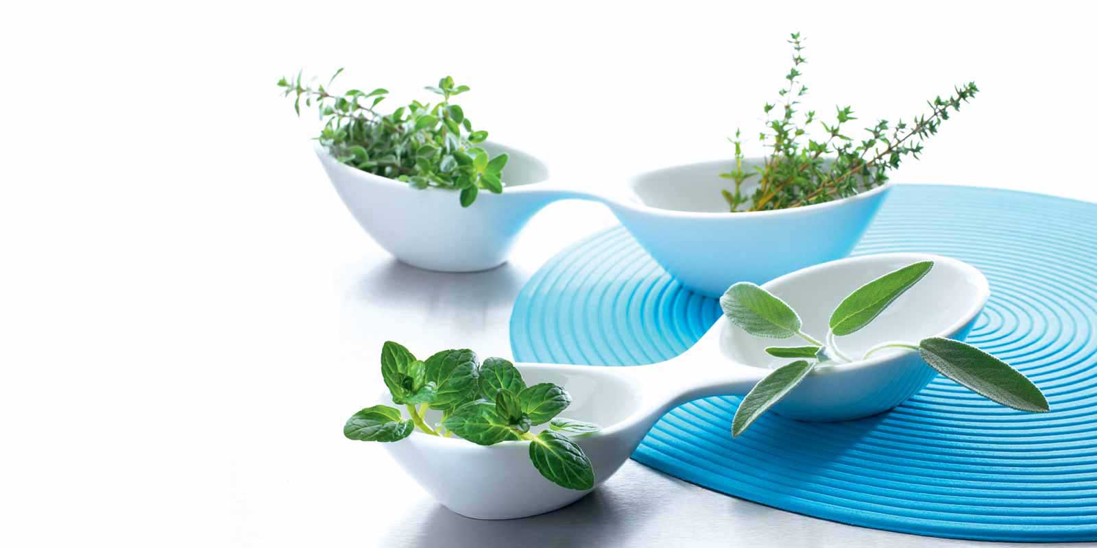 Wibergkruiden gevriesdroogd De smaak doet denken aan een zorgeloze lentedag in de tuin en de geur doet alles wat hij belooft. Ervaar de lichtheid en frisheid met aromatische WIBERG-kruiden die je gewoon zin geven om te leven - zelfs als de lente slechts een zachte herinnering is. Wibergkruiden gevriesdroogd De smaak doet denken aan een zorgeloze lentedag in de tuin en de geur doet alles wat hij belooft. Ervaar de lichtheid en frisheid met aromatische WIBERG-kruiden die je gewoon zin geven om te leven - zelfs als de lente slechts een zachte herinnering is.