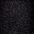 Black rice, long grain, from Piedmont - 1 kg - vacuum