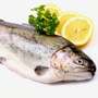Fischprodukte verschiedene eingelegte Fische und Fischprodukte
