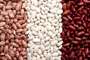 Lentils, beans, legumes - canned foods Lentils, beans, legumes - canned foods