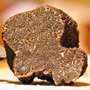 Truffes et champignons Truffes et champignons selectionnes pour des plats raffines et une cuisine raffinee. Truffes et champignons Truffes et champignons selectionnes pour des plats raffines et une cuisine raffinee.