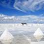 Salt - Sjavarsalt - Steinsalt hvita gullidh Salt - Sjavarsalt - Steinsalt hvita gullidh