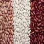 Lentils and peas and beans Lentils, beans and peas can be purchased in many different colors, sizes and flavors here.