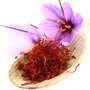 Safran, zoals draden of gemalen als poeder Saffraan is het kenmerk draad van Crocus soort van hun verschijnen in de herfst paarse bloemen van dezelfde specerij wordt verkregen.