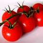 Tomatoes inserted, Red and green tomatoes in various processing and thus taste qualities.
