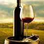 Weine & Bar ca. 800 Weine und Champagner Weine & Bar ca. 800 Weine und Champagner