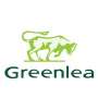 Carne Greenlea da Nova Zelandia Greenlea 100% carne bovina alimentada com pasto da Nova Zelandia