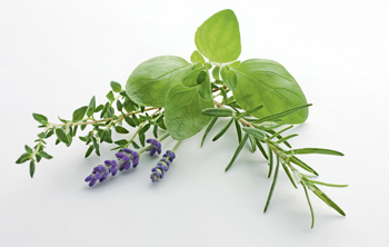 Wiberg Kräuter der Provence gefriergetrocknet - 100 g - Aroma-Tresor Wiberg Kräuter der Provence gefriergetrocknet - 100 g - Aroma-Tresor