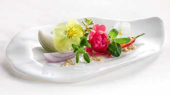 Wiberg Dekor-Raffinesse, Gewürzzubereitung mit Sesam - 430 g - Aroma-Tresor Wiberg Dekor-Raffinesse, Gewürzzubereitung mit Sesam - 430 g - Aroma-Tresor
