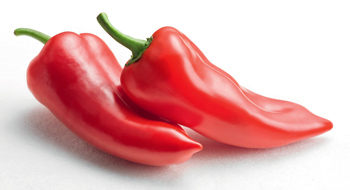 Wiberg Paprika scharf - 260 g - Aroma-Tresor Wiberg Paprika scharf - 260 g - Aroma-Tresor
