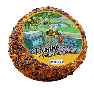Pecorino con polline di castagno, Schafkäse mit Kastanienpollen, Busti - ca. 1 kg - Stück