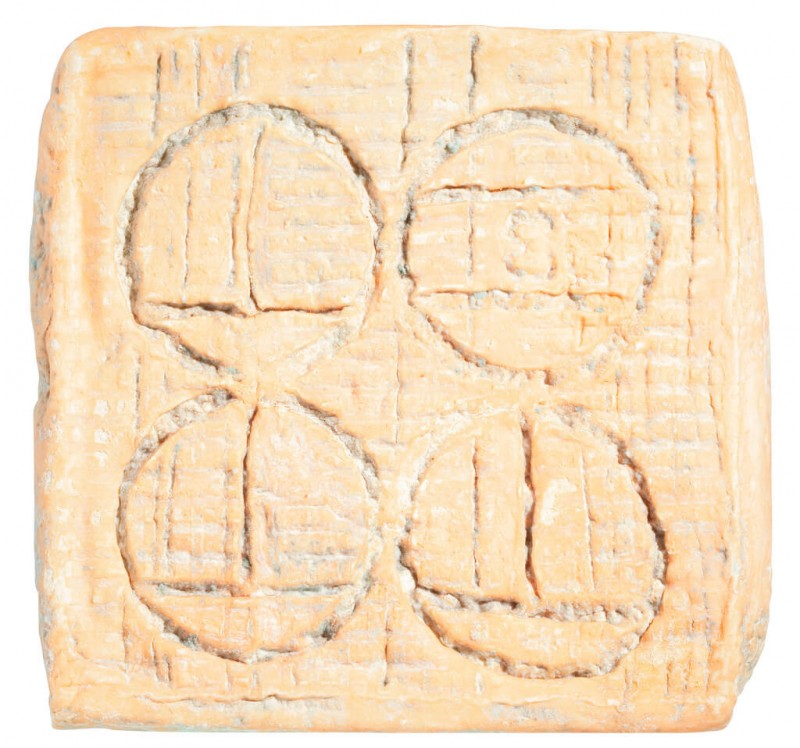 Red mold from cows milk, Taleggio DOP scalzo, Guffanti - 2 kg - kg Red mold from cows milk, Taleggio DOP scalzo, Guffanti - 2 kg - kg