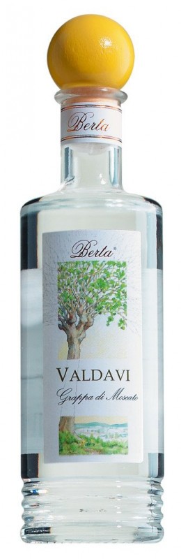 Valdavi, Grappa di Moscato, Grappa aus Moscato-Trester, Berta - 0,2 l - Flasche