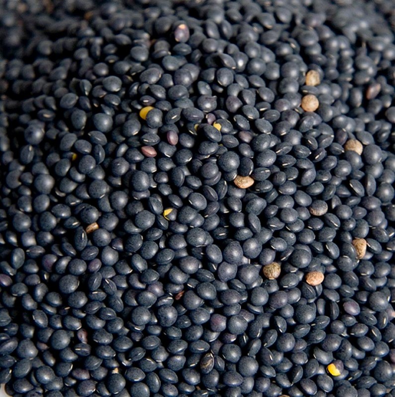 Linsen, schwarz - Beluga - 1 kg - Beutel Linsen, schwarz - Beluga - 1 kg - Beutel