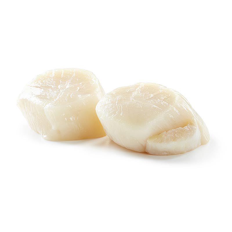 Kanadische Jakobsmuscheln, Größe XL, 20-22 Stück - 1 kg - Beutel Kanadische Jakobsmuscheln, Größe XL, 20-22 Stück - 1 kg - Beutel