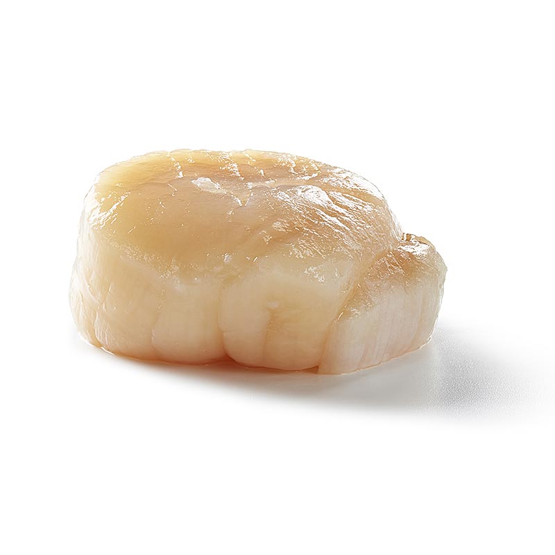 Kanadische Jakobsmuscheln, Größe XL, 20-22 Stück - 1 kg - Beutel Kanadische Jakobsmuscheln, Größe XL, 20-22 Stück - 1 kg - Beutel