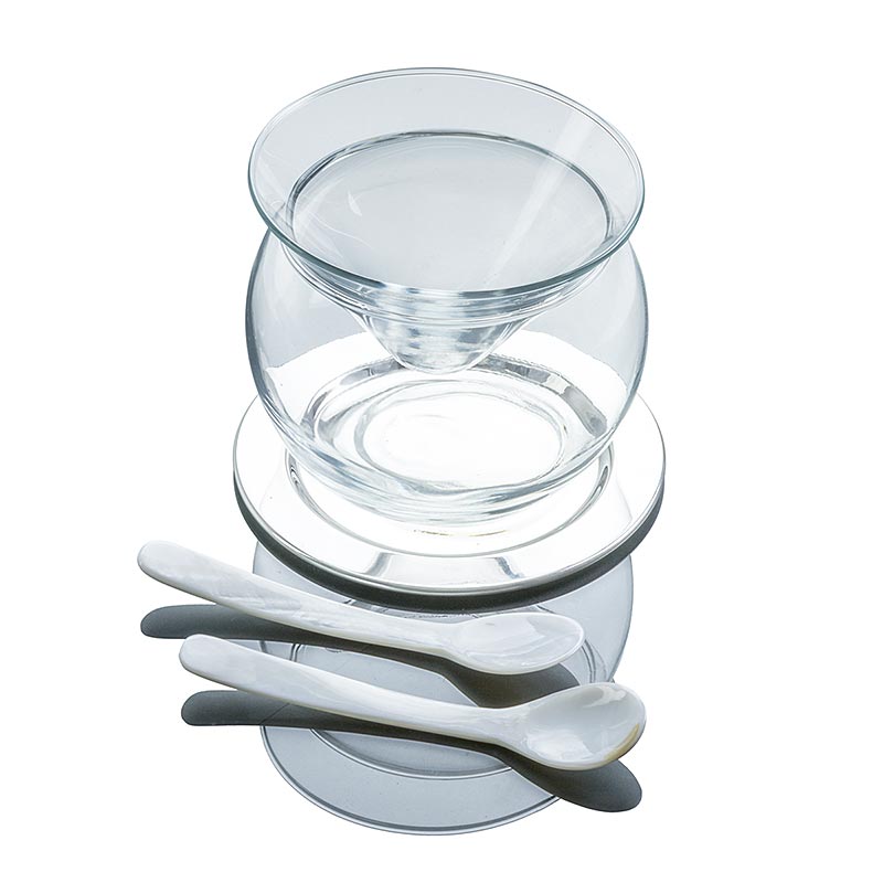 Desietra Kaviarglasschale (Bowle) mit Edelstahl Untersetzer und 2 Löffel - 5 tlg. - Karton