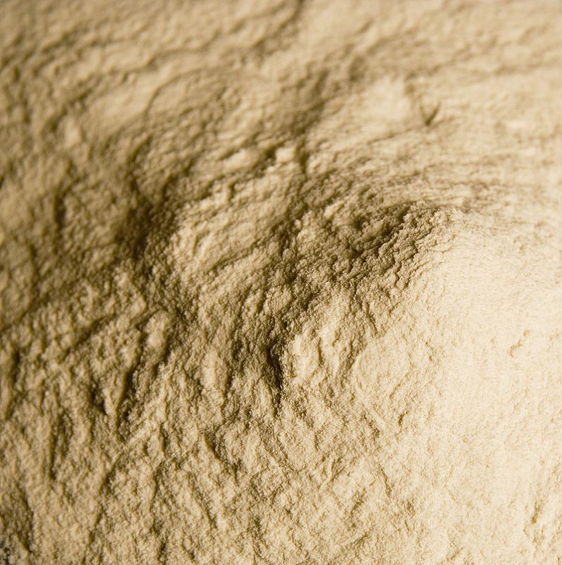 Natriumalginat - fødevarekvalitetspulver, E 401 - 100 g - taske Natriumalginat - fødevarekvalitetspulver, E 401 - 100 g - taske