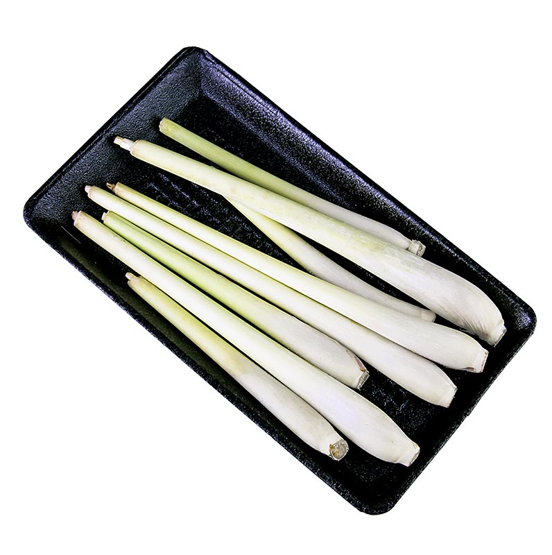 Zitronengras, ca. 17cm lang, frisch - 100 g - Lose Zitronengras, ca. 17cm lang, frisch - 100 g - Lose
