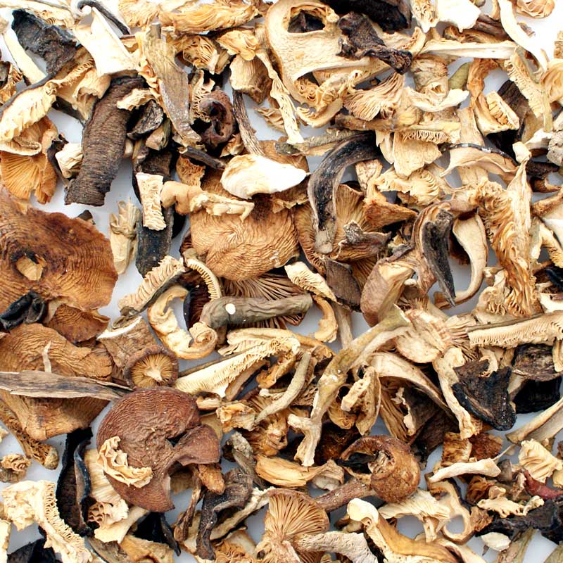 Mischpilze getrocknet, Wald- und Wiesenpilze, aus Osteuropa - 500 g - Tüte Mischpilze getrocknet, Wald- und Wiesenpilze, aus Osteuropa - 500 g - Tüte