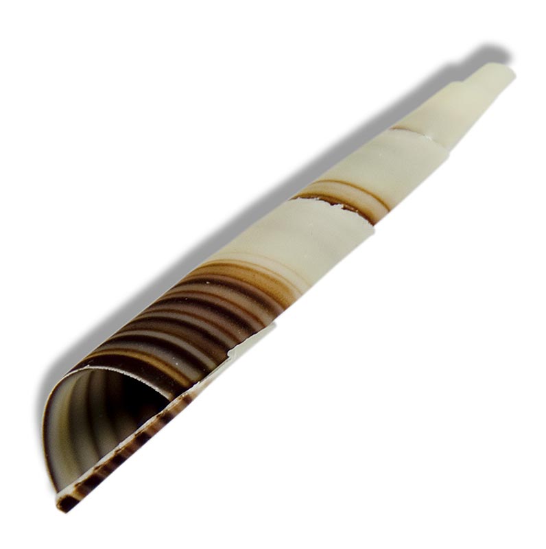 Decoratieve topper Cornet - mini croissants, gemarmerd, circa 80 mm - 350 g, 117 St - karton Decoratieve topper Cornet - mini croissants, gemarmerd, circa 80 mm - 350 g, 117 St - karton