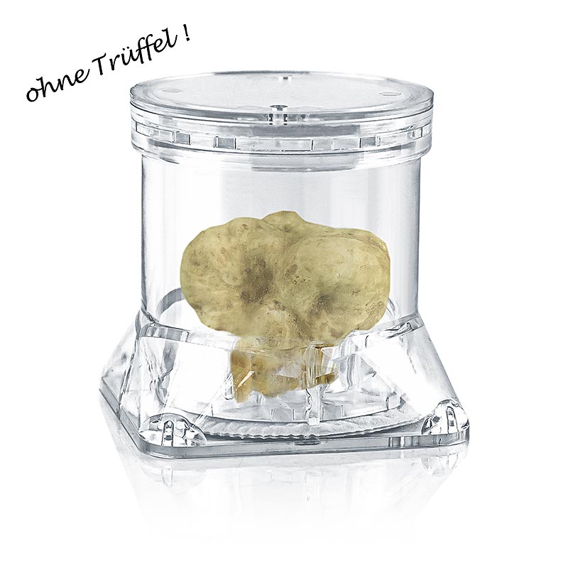 Tuber-Pack® truffle container, Ø 7 x 7cm H, clear, with fleece - 1 pc - carton