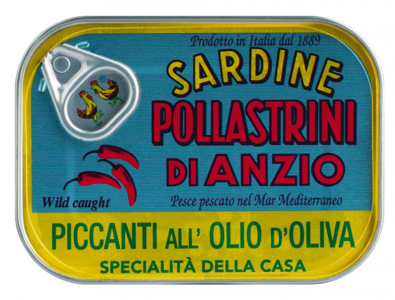 Sardine piccanti all`olio d`oliva, sardines assaisonnées à l`huile d`olive, pollastrini - 100 g - boîte
