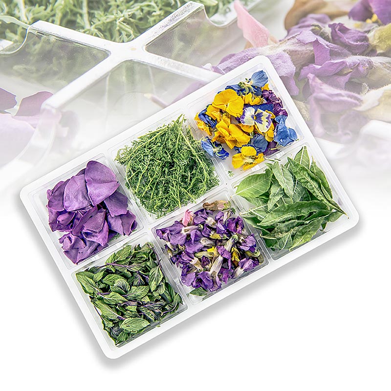 Herb Spirit Box - 6 gefriergetrocknete Kräuter & Blüten, Keltenhof - 5 g - Blister Herb Spirit Box - 6 gefriergetrocknete Kräuter & Blüten, Keltenhof - 5 g - Blister