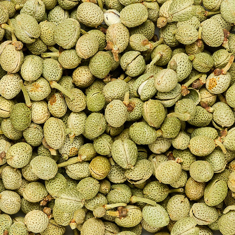 Sansho Pfeffer, ganz, grün, Japan - 100 g - Beutel Sansho Pfeffer, ganz, grün, Japan - 100 g - Beutel