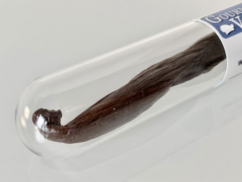 Gousse de vanille de Tahiti, la reine de la vanille, 1 gousse dans un tube à essai avec un arc - 1 pièce / environ 6 g - Dans un tube à essai avec un arc
