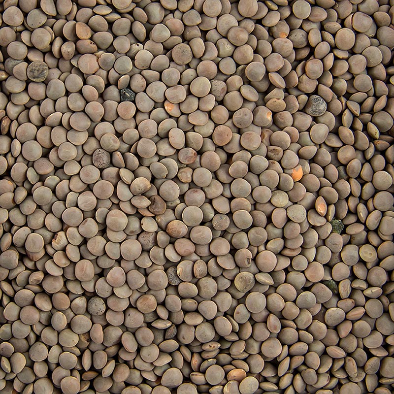Lentils, brown, small - 1 kg - bag