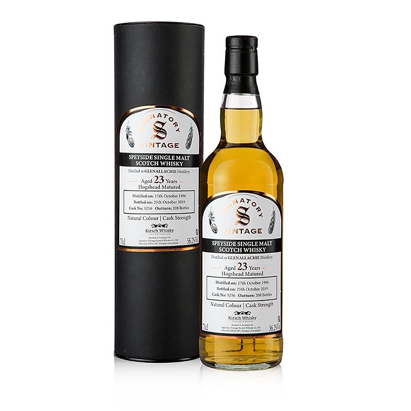 Single Malt Whiskey Glenallachie Signatory, 1996-2019, 56.2% vol., Speyside - 700 ml - bottle Single Malt Whiskey Glenallachie Signatory, 1996-2019, 56.2% vol., Speyside - 700 ml - bottle