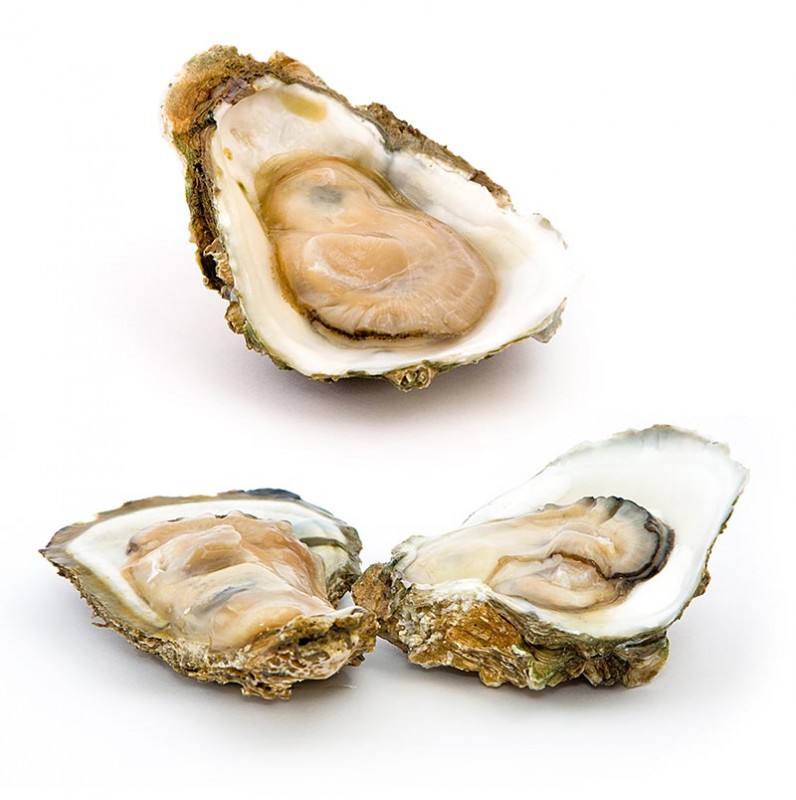 Verse oesters - Gillardeau M4 (Crassostrea gigas), ca. 75g - 12 st - houten doos