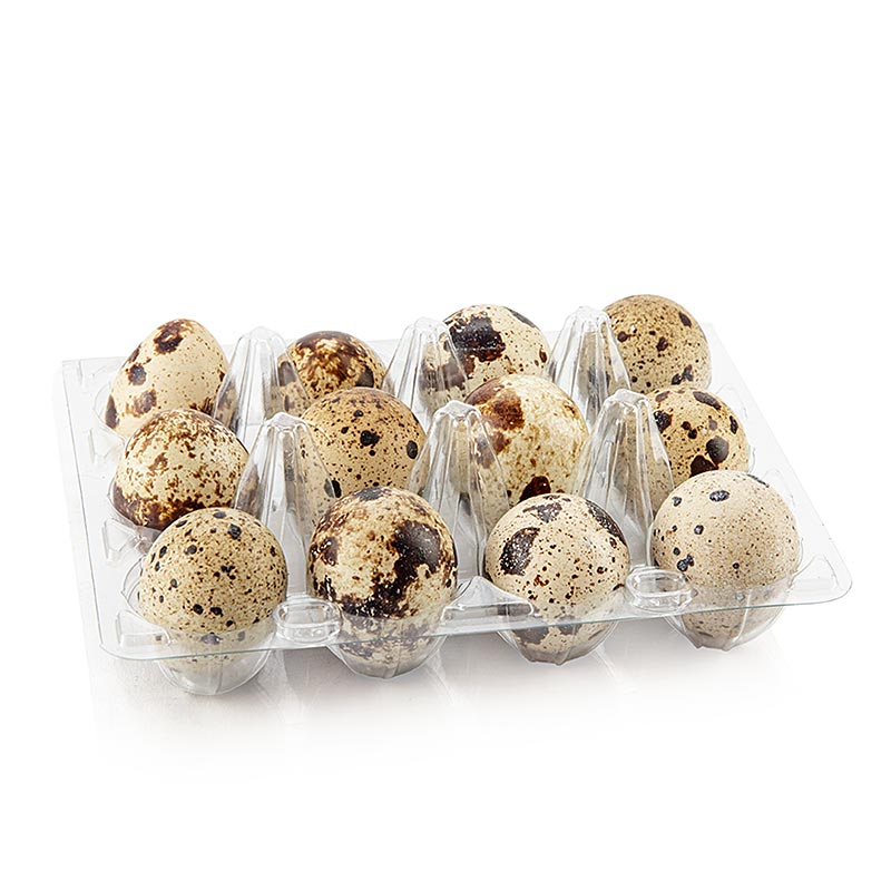 Vogelsberger quail eggs, fresh - 12 pc - carton