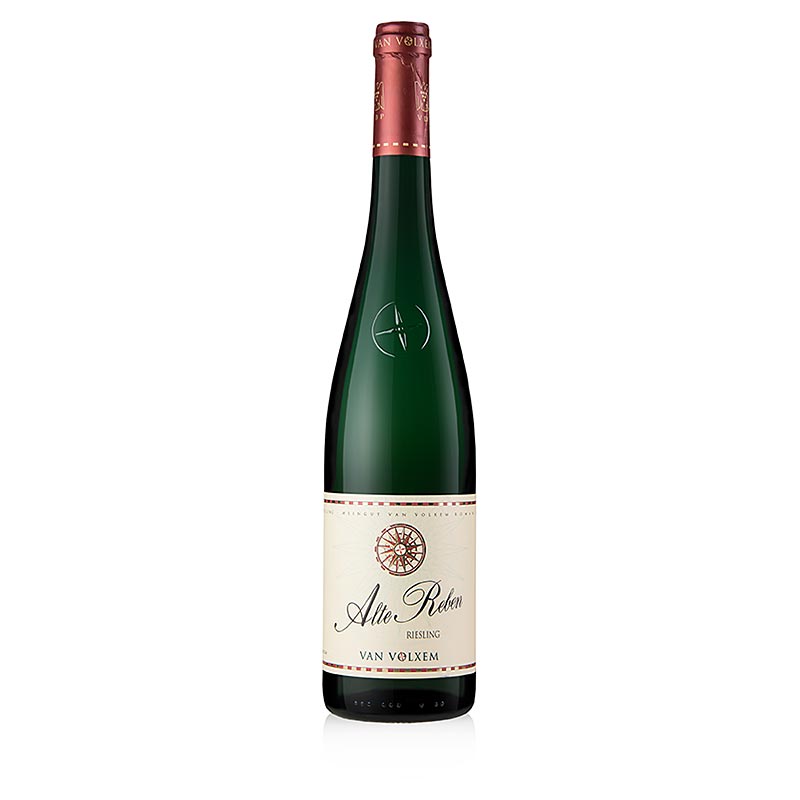 2018er Alte Reben Riesling, trocken, 12,5% vol., Van Volxem - 750 ml - Flasche 2018er Alte Reben Riesling, trocken, 12,5% vol., Van Volxem - 750 ml - Flasche