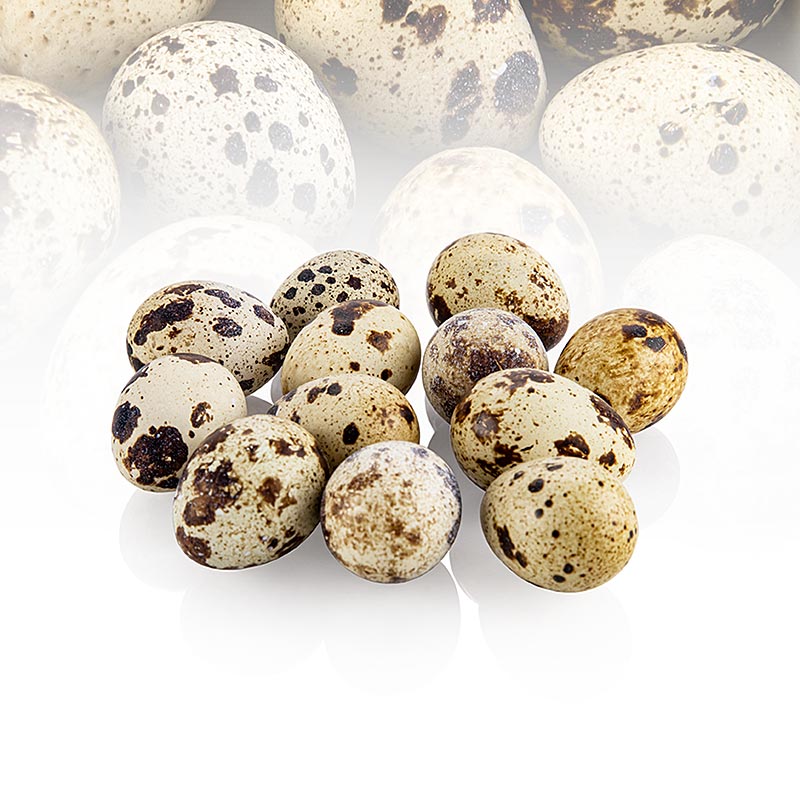 Vogelsberger quail eggs, fresh - 12 pc - carton
