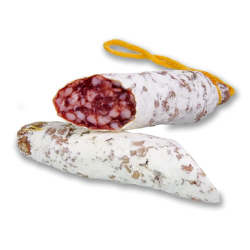 Saucisson salami sausage with porcini mushrooms, Terre de Provence