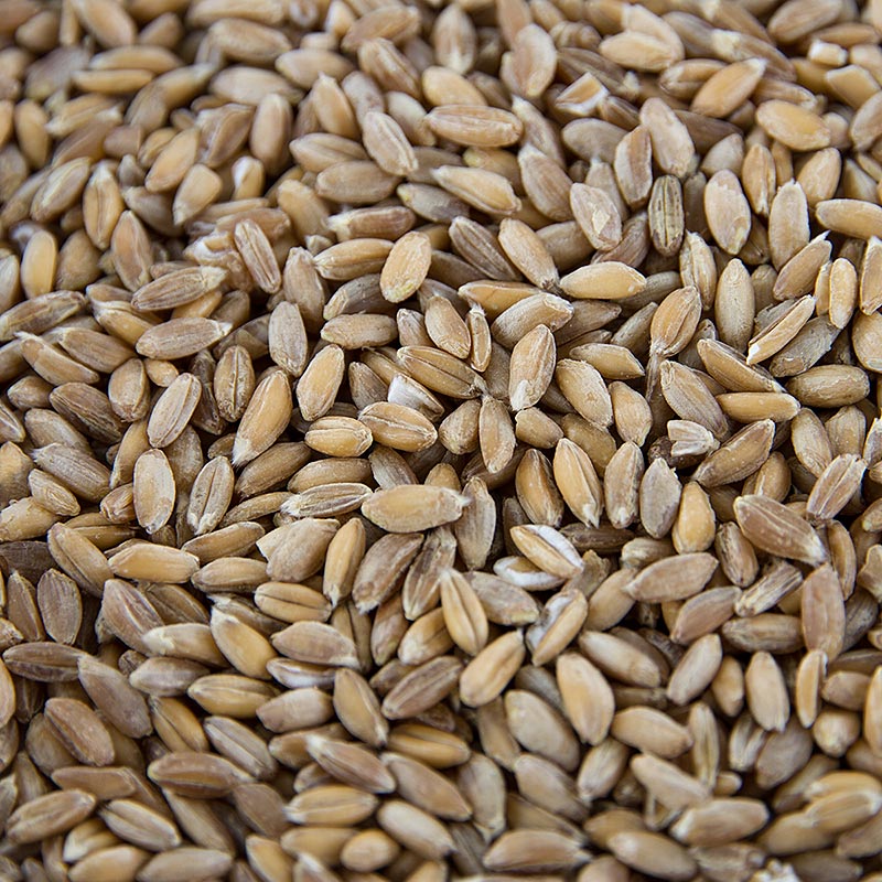 Emmer hvede (to korn), hel, økologisk - 1 kg - taske