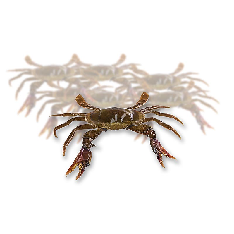 Soft Shell Mangrove Crab, Prime, Paitoon - 1 kg, 12 pcs - plastic