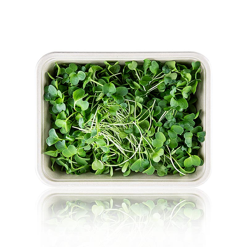 Microgreens radish, sprouts fresh, packed - 100 g - PE shell