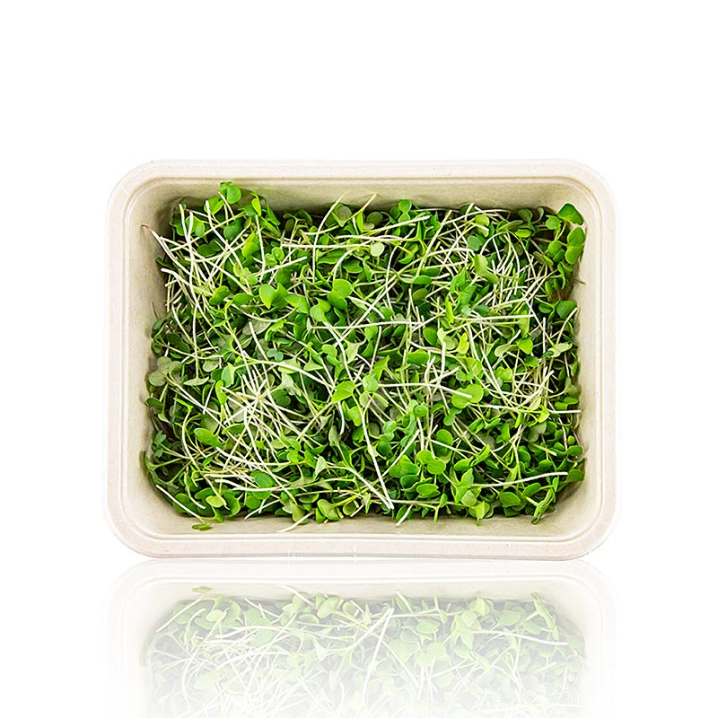 verpakte microgreens mosterd, zeer jonge bladeren / zaailingen - 75g - PE-schaal