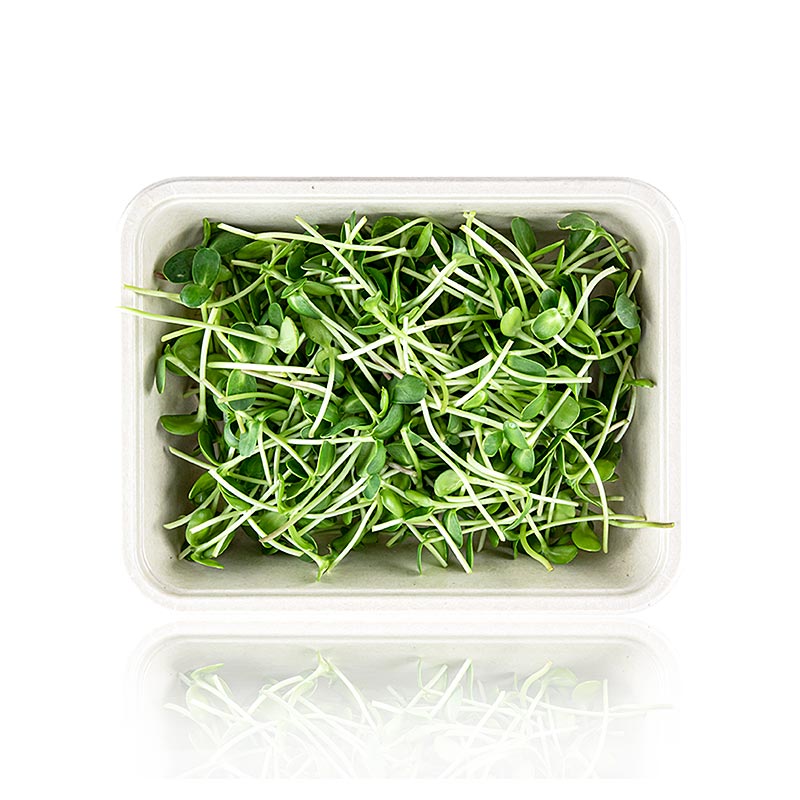 Microgreens Sonnenblume, Spossen frisch, vollgepackt - 100 g - Pe-schale