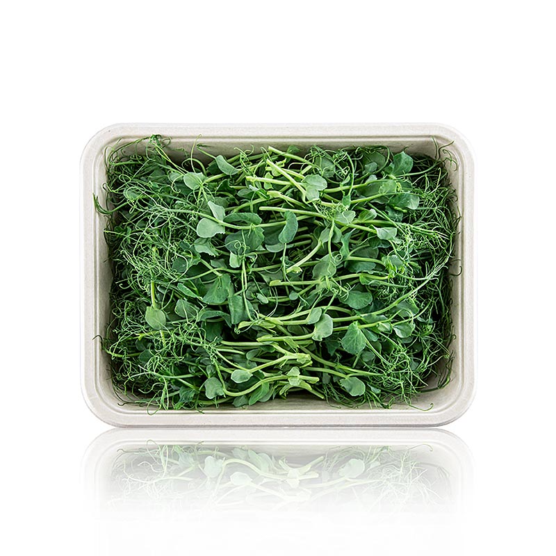 Microgreens Erbsen, Sprossen frisch, vollgepackt - 100 g - Pe-schale