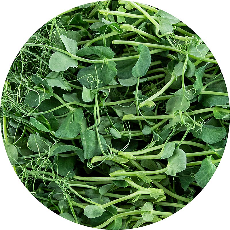 Microgreens peas, sprouts fresh, packed - 100 g - PE shell
