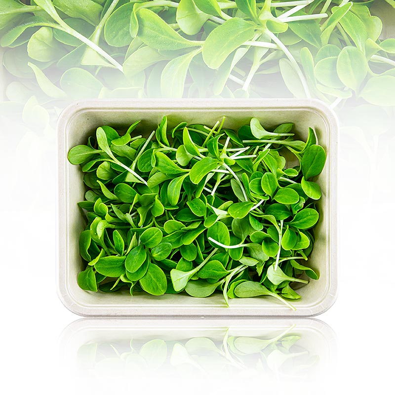 verpakte microgreens bernagie, zeer jonge bladeren / zaailingen - 50g - PE-schaal