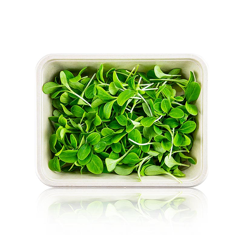 verpakte microgreens bernagie, zeer jonge bladeren / zaailingen - 50g - PE-schaal