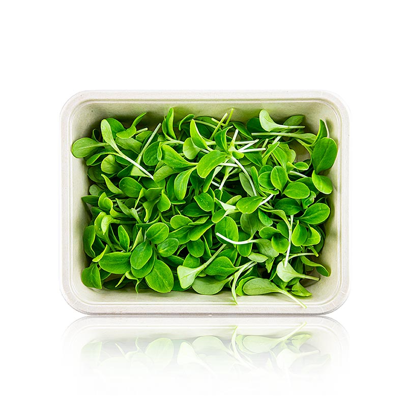 micro-pousses emballées bourrache, très jeunes feuilles / semis - 50 grammes - Coque PE
