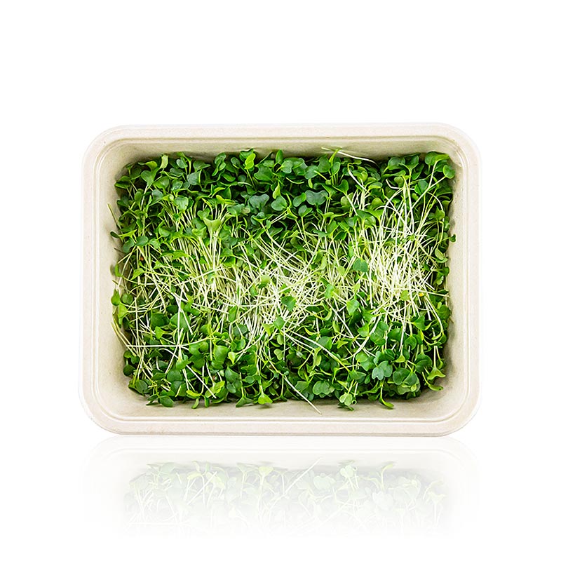 vollgepackt Microgreens Grünkohl, ganz junge Blätter / Keimlinge - 75 g - Pe-schale