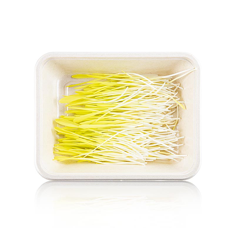 vollgepackt Microgreens Mais, ganz junge Blätter / Keimlinge - 50 g - Pe-schale